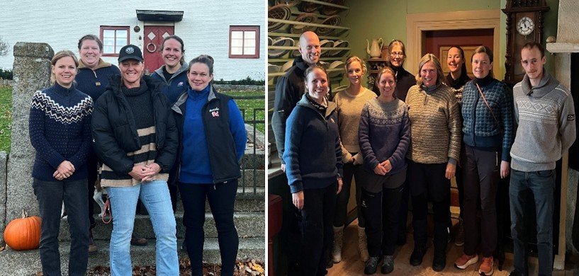 NIP svensk og norsk gjeng