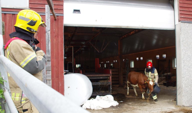 Brannøvelse Valdres evakuering av ungdyr