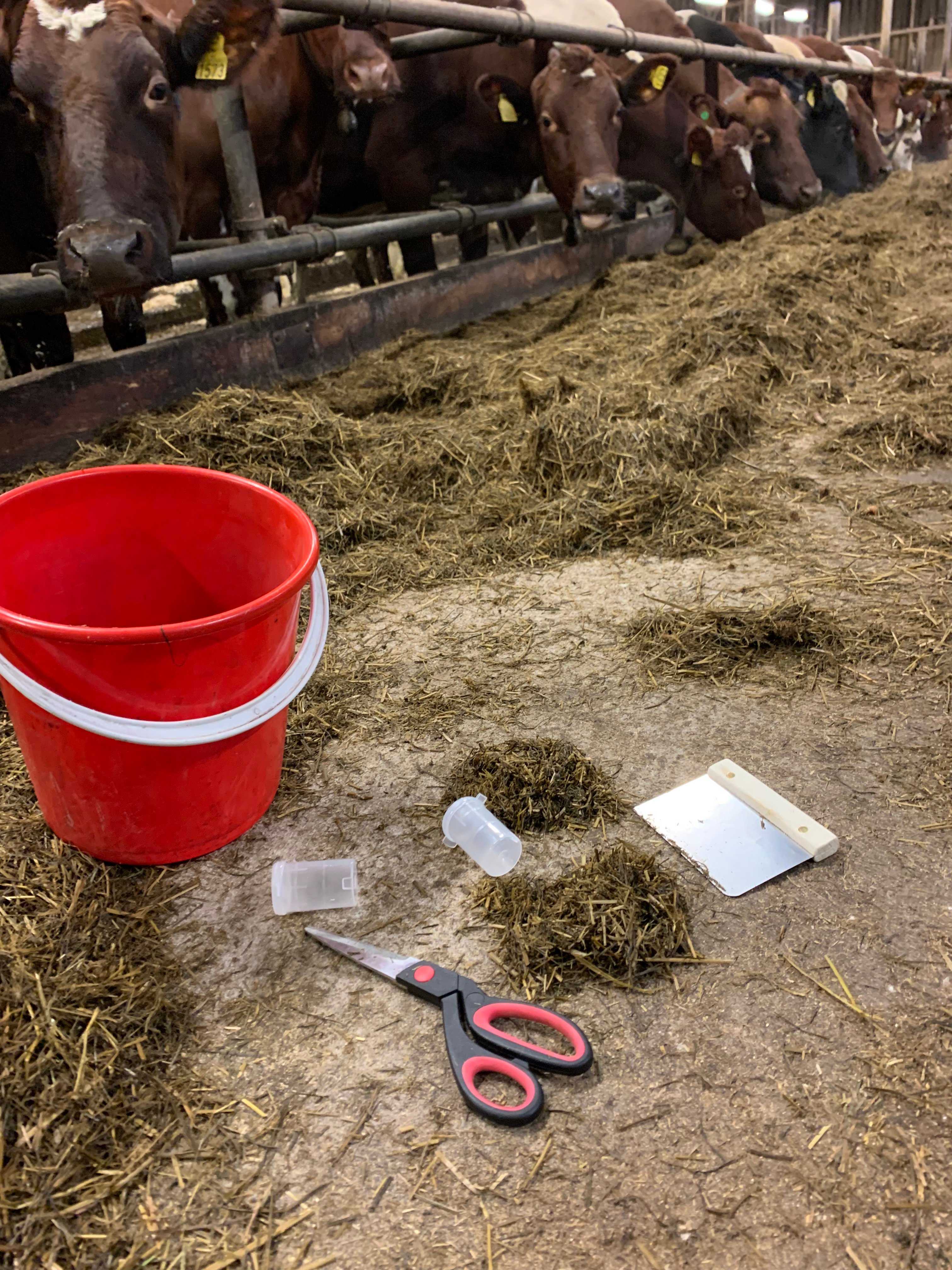 Grovfôrprøver bøtte og beger